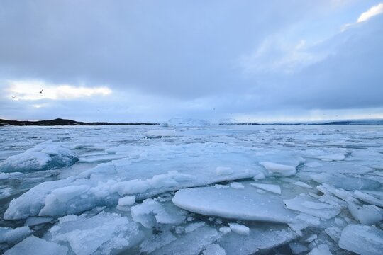 Floating blue ice chunks in a glacial lagoon in Iceland, reflecting the cloudy sky and distant mountains, creating a serene arctic landscape. - Powered by Adobe