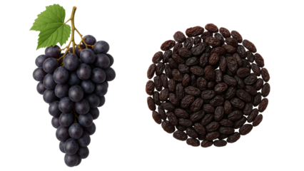 purple grapes,Raisin on isolated background,spices