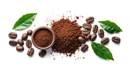 A bowl of coffee beans and a leafy green plant