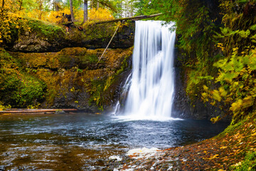 Fototapeta premium Upper North Falls and Plunge Pool in Fall at Silver Falls State Park