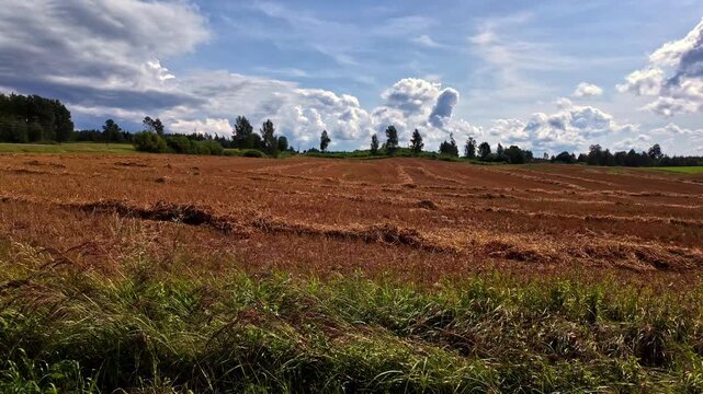 Beautiful and green natural scenery in Dobele, Latvia
