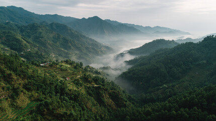 Naklejka premium A Foggy Landscape Over Mountain Rice Terraces