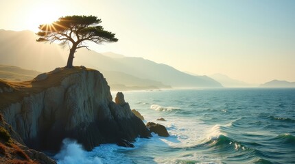 Solitary tree on a rocky cliff overlooking the ocean at sunset