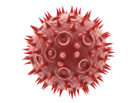 Close-up 3d rendering of a single, detailed red pollen grain, an allergen and component of plant reproduction, isolated with a soft, abstract texture and spiky surface.