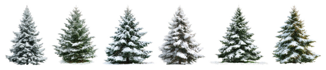 Fototapeta premium PNG Snow-covered evergreen trees aligned, element set on transparent background