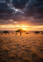 Vast African bushveld landscape at sunset, featuring scattered acacia trees, golden dry grass, and a vibrant sky over rolling plains ,ecosystem ,dry grass ,untouched