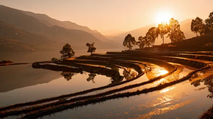 Acrylglasbilder Reisfelder Terraced rice fields reflecting sunlight at golden hour  © Khurraizy