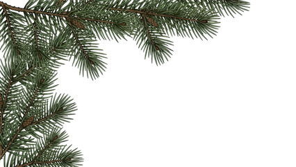 A close-up view of a green pine tree branch with brown pine cones, positioned in the upper left corner against a plain white background.