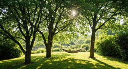 Fototapeta premium Tranquil hammock nestled amongst lush trees in a sun-drenched garden