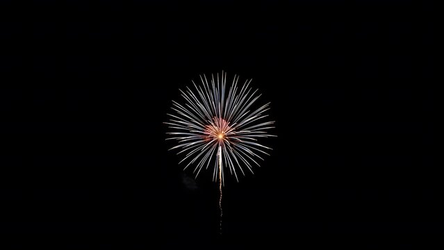 A solitary firework lights up the darkness