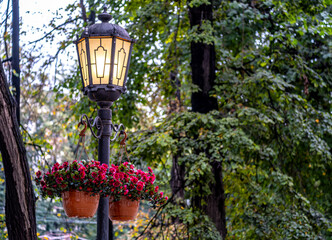 The lamp is turned on in the park on a summer day.