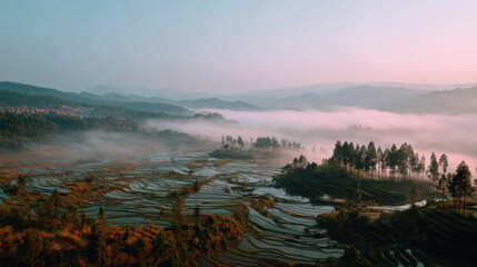 A scenic landscape of rice terraces with fog covering the valley