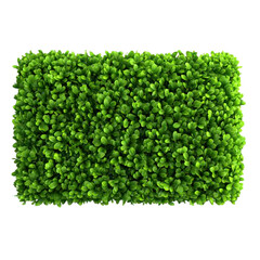 Obraz premium Lush vibrant greenery wall texture perfect for backgrounds or adding a touch of nature to your design projects, bringing a fresh and organic feel