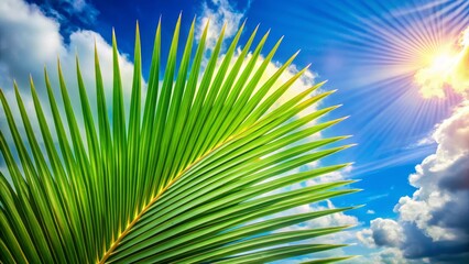 Vibrant Palm Frond Against a Sunlit Sky, a Tropical Paradise Scene of Nature's Beauty and Serenity
