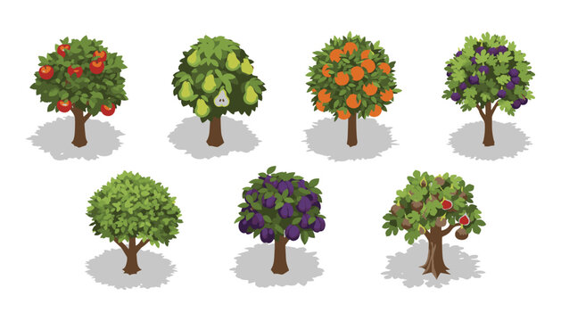 Isometric Fruit Trees Vector Collection &mdash; Apple, Pear, Orange, Plum, Fig for Garden, Orchard, and Infographic Design