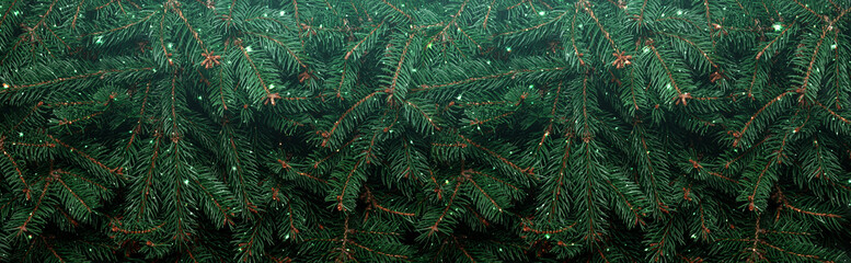 Merry Christmas and New Year background with layers of green pine branches with light and bokeh. Xmas and Winter holidays. Christmas card, wide banner, top view