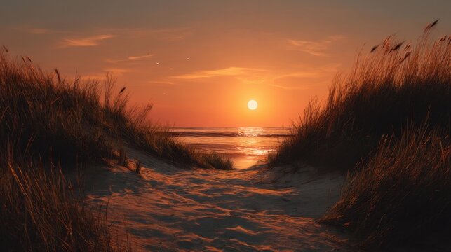 The scene captures a stunning sunset over the ocean with warm hues reflecting off the water. Soft dunes and tall grass frame the pathway leading to the beach creating a serene atmosphere.