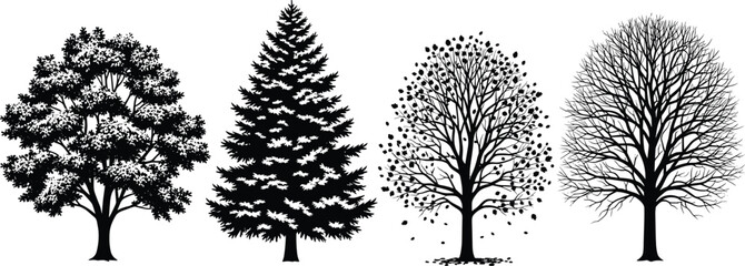 Black and White Silhouettes of Four Different Trees illustration