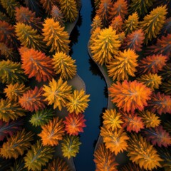 Aerial view of a winding river through a vibrant autumn forest