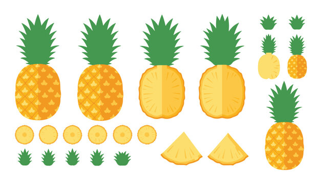Pineapple Vector Collection &mdash; Flat Style Whole, Sliced, and Pattern Elements for Food and Tropical Design