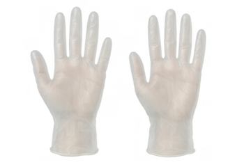 Pair of transparent disposable vinyl or latex medical gloves for hygiene and protection on a transparent background
