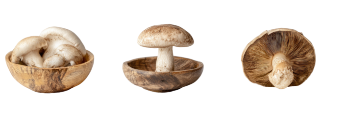 Three views of mushrooms in a bowl, a single one with stem, and underside exposed
