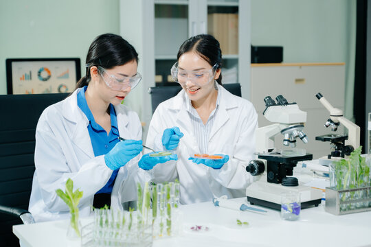 Food science as lab scientists test and analyze vegetables for safety and quality using advanced technology and precise equipment. in lap - Powered by Adobe