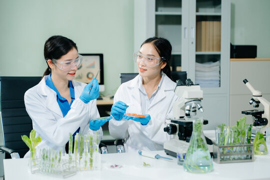 Food science as lab scientists test and analyze vegetables for safety and quality using advanced technology and precise equipment. in lap