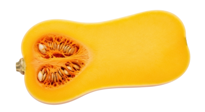 Butternut squash half isolated PNG on transparent background, vibrant orange vegetable for healthy eating and autumn harvest themes