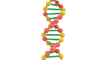 Colorful DNA molecule model isolated PNG on transparent background, genetic code structure for science and medical research
