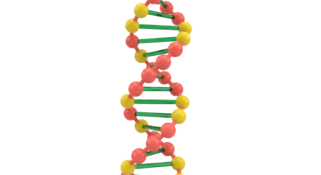 Colorful DNA molecule model isolated PNG on transparent background, genetic code structure for science and medical research