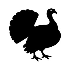 Silhouette of a male turkey with its tail feathers fanned out