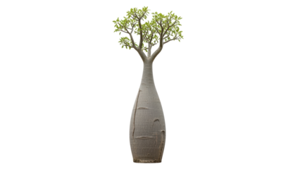 Unique Artistic Representation of a Plant in a Minimalist Style