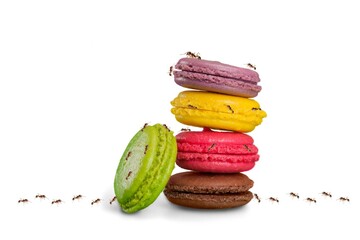 A vibrant stack of colorful macarons attracts crawling ants, blending elegance with playful natural chaos.