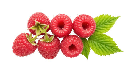 Fresh red raspberries with green leaves isolated PNG, delicious and juicy summer fruit on transparent background for healthy eating and dessert concepts