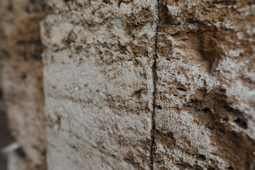 Details from the walls of the Colosseum in Rome.