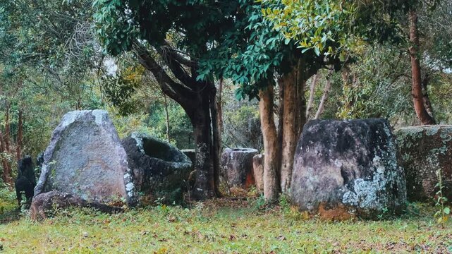 Valley of the Jars, Laos. Phongsavan. Valley of the Jars. The megalithic archaeological landscape consists of thousands of stone jars scattered across the Xiangkhouang Plateau. 4К