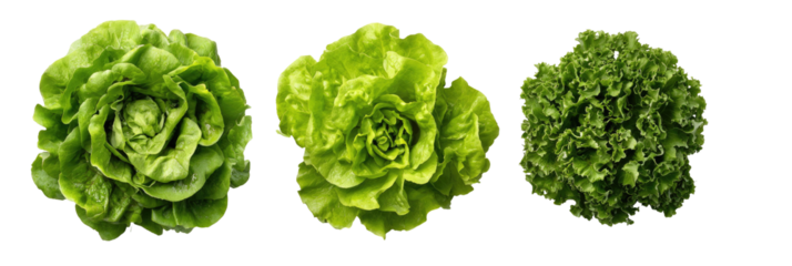 Three vibrant green heads of lettuce, each with different leaf structures, sit on a black background