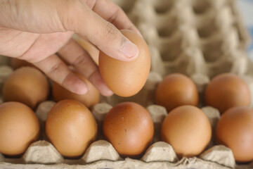 Hand selecting a fresh brown egg from a carton
