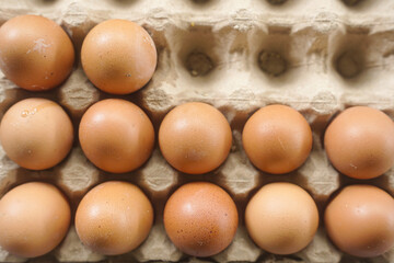 Fresh Brown Eggs in a Cardboard Carton, Top View