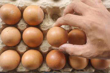 Hand selecting a fresh brown egg from a carton