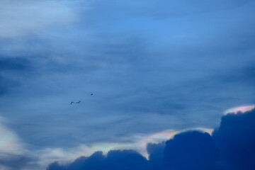 The cloud has rainbow colors.