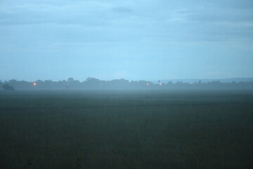 Hazy rainy rice field with mist