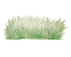 Watercolor green grass illustration. Realistic image of a lawn on an isolated background. A botanical clipart for summer design