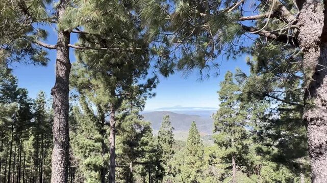 Pinos de Galdar Viewpoint on the island Gran Canaria