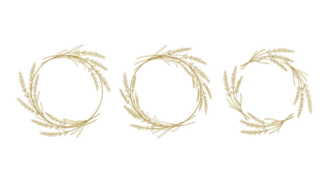 Set of three elegant golden wreaths made from hand-drawn wheat ears perfect for rustic wedding or bakery logo designs.