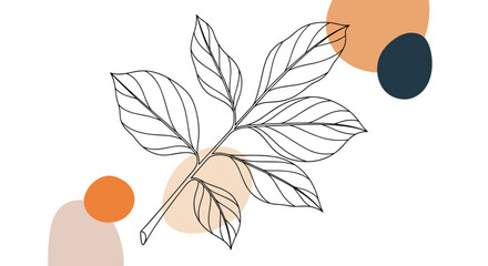Minimalist botanical line art of a leaf branch on abstract organic shapes for contemporary wall art or social media posts.