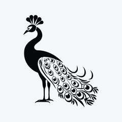 Majestic Peacock Black White Vector
