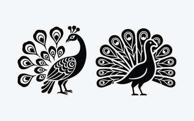 eacock Peafowl Vector Line Set