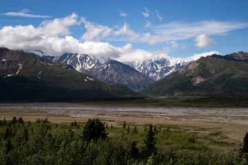 Obraz premium Mountains on the Denali Highway